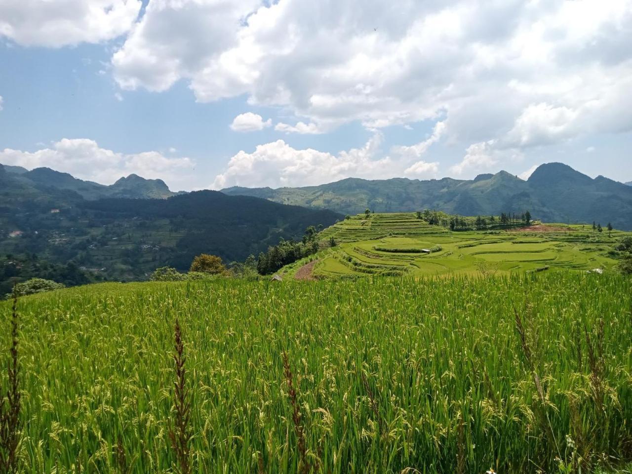 Bac Ha Charm Stay Esterno foto