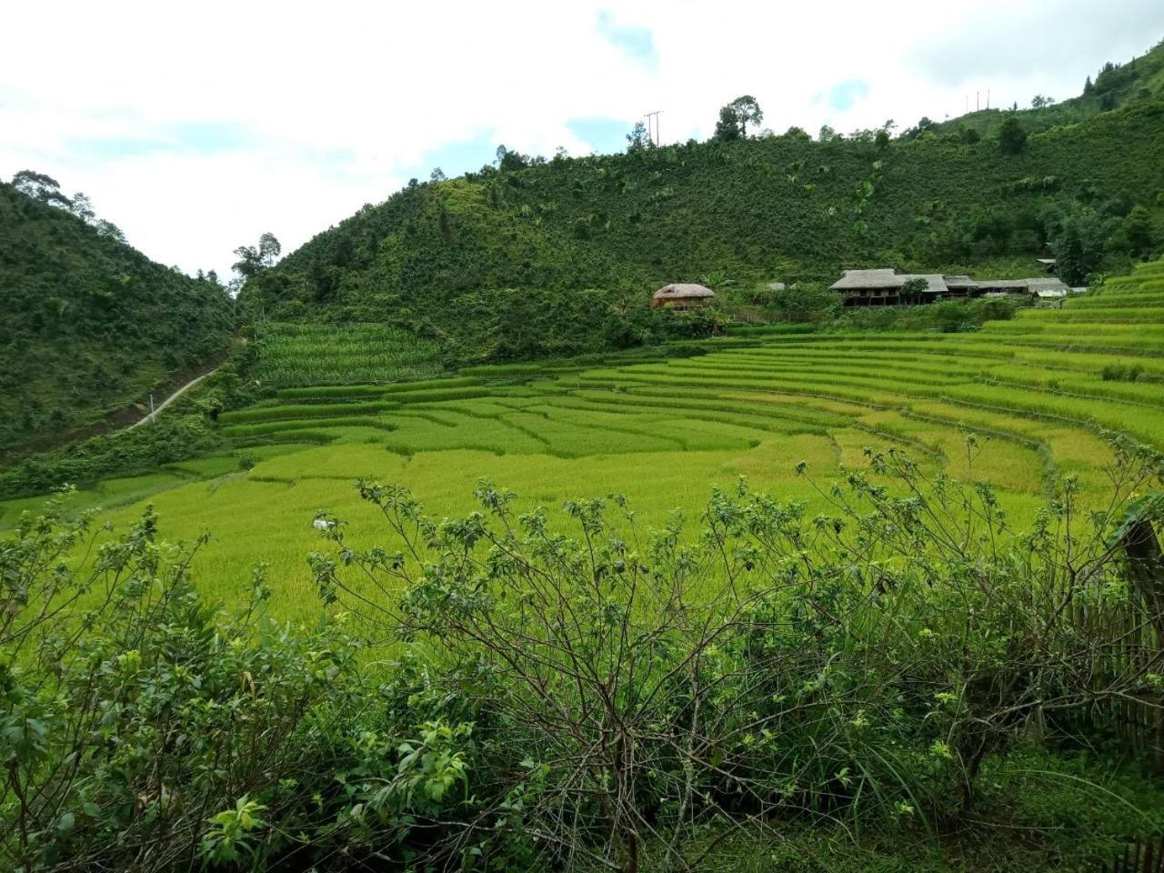 Bac Ha Charm Stay Esterno foto