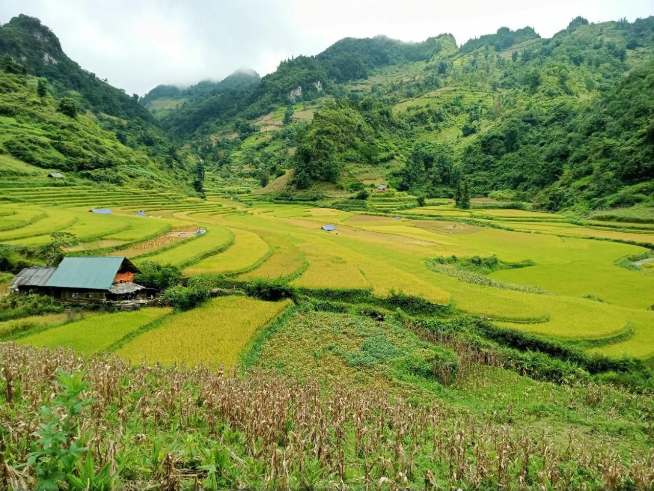 Bac Ha Charm Stay Esterno foto