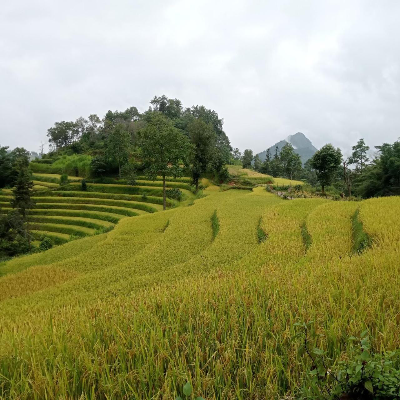 Bac Ha Charm Stay Esterno foto